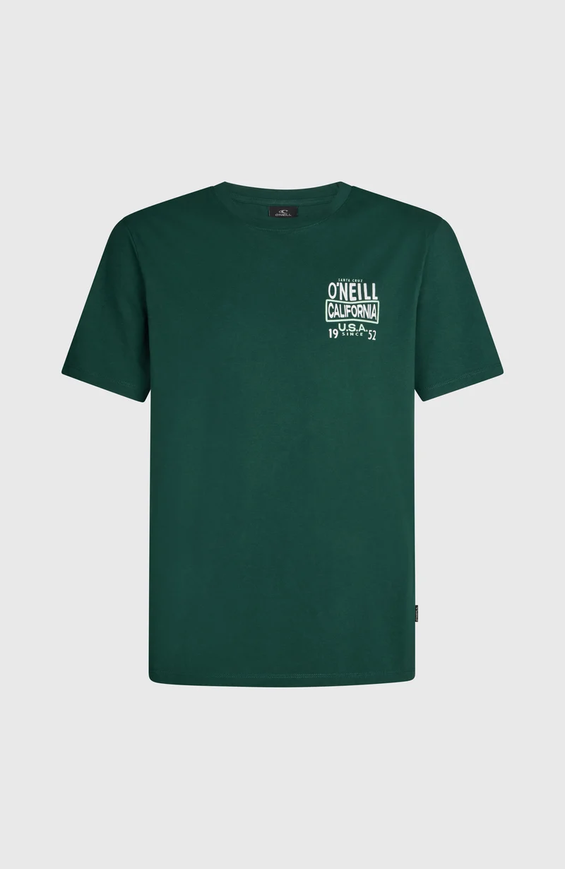 O'Neill Small Logo T-shirt | Emerald Envy