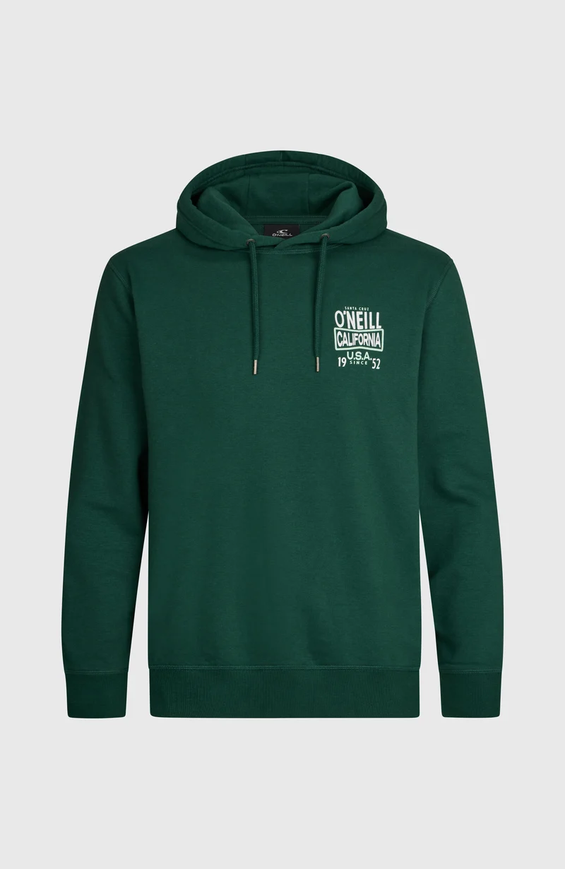 O'Neill Small Logo hoodie | Emerald Envy