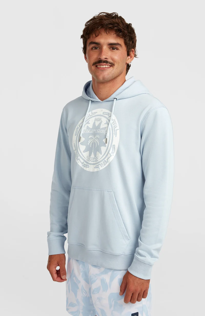 O'Neill Must-Have Graphic hoodie | Spindle