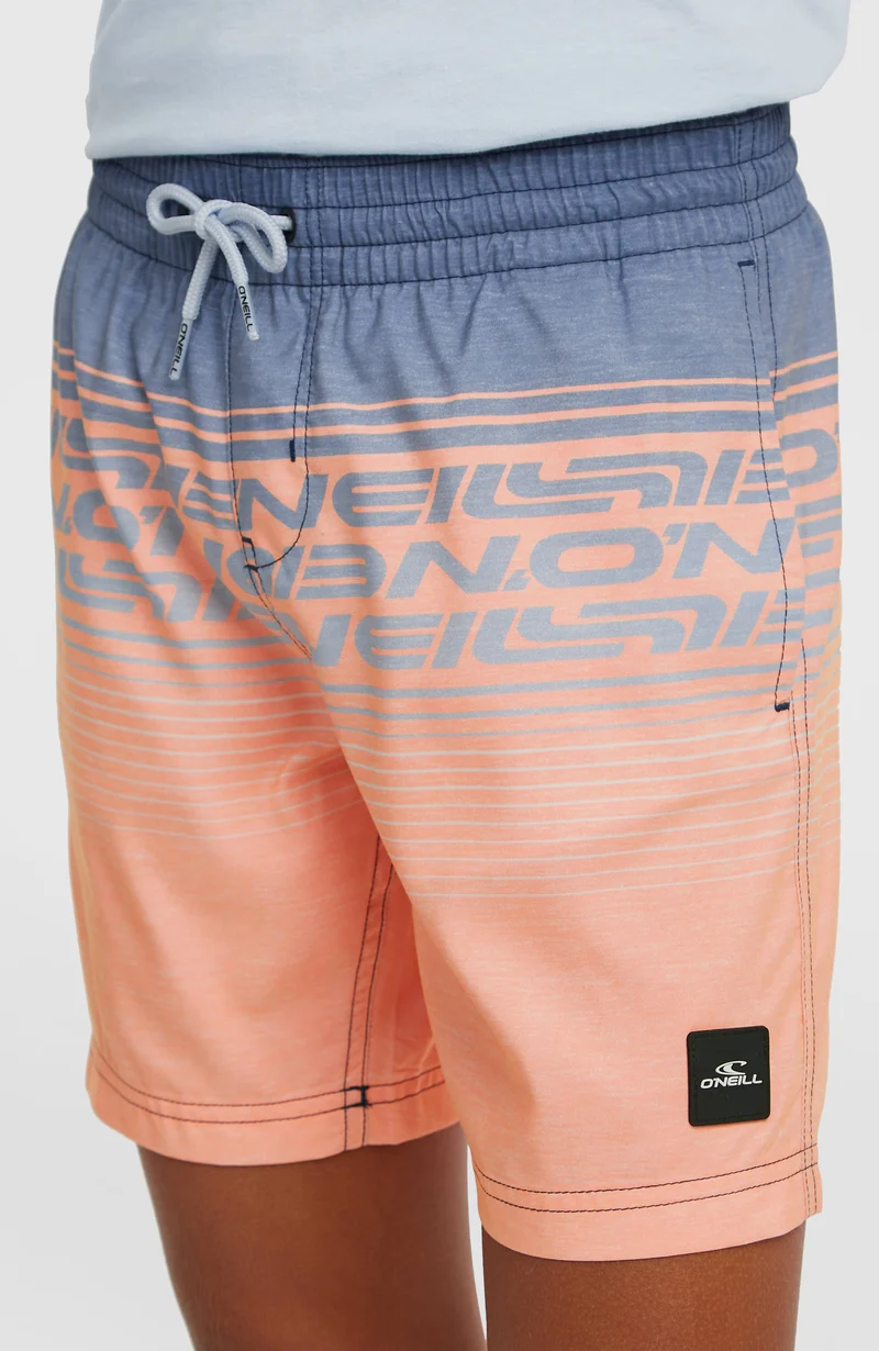 O'Neill Logo Stripe zwembroek | Boys Purple Heritage O'Neill