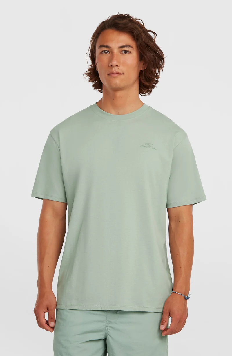 O'Neill Small Logo T-shirt | Marble Arch