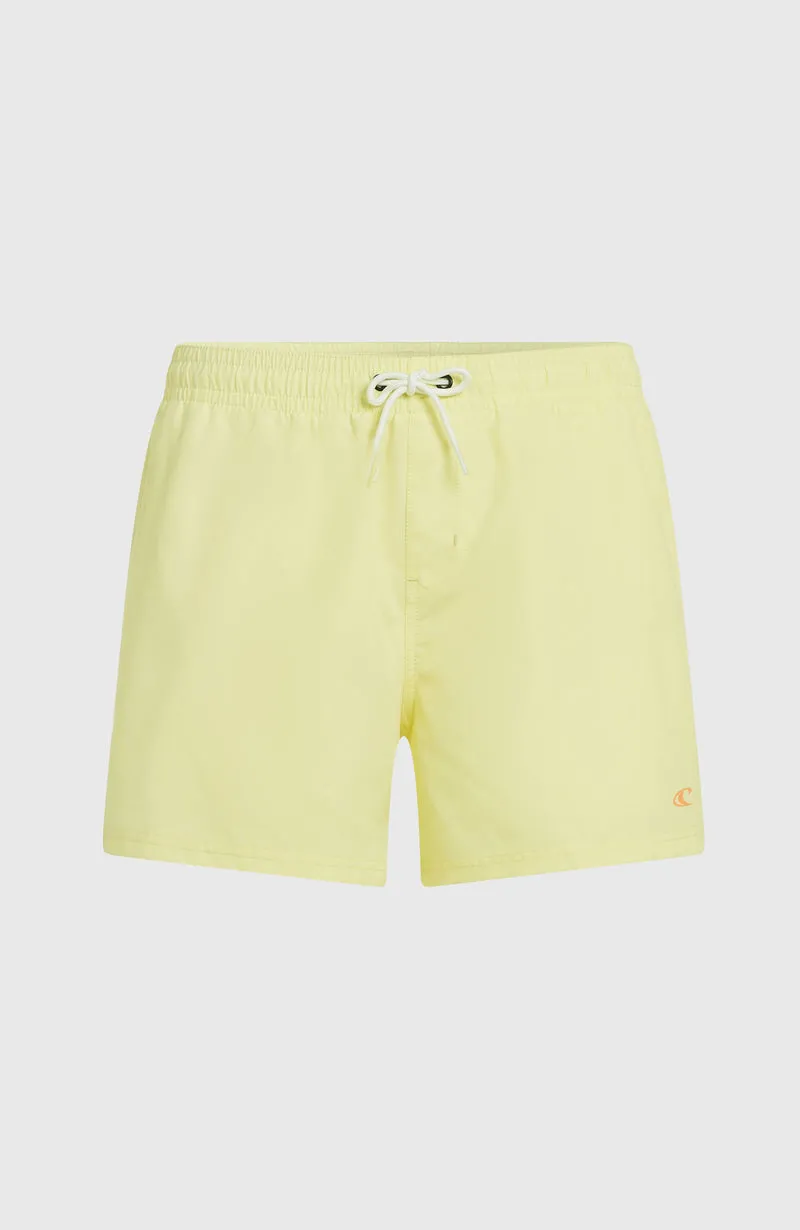 O'NEILL SUNNY BEACH 14" SWIMSHORT | Rainforest Dew