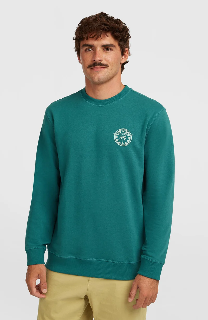 O'Neill Must-Have Graphic Crew sweater | Botanical Heat