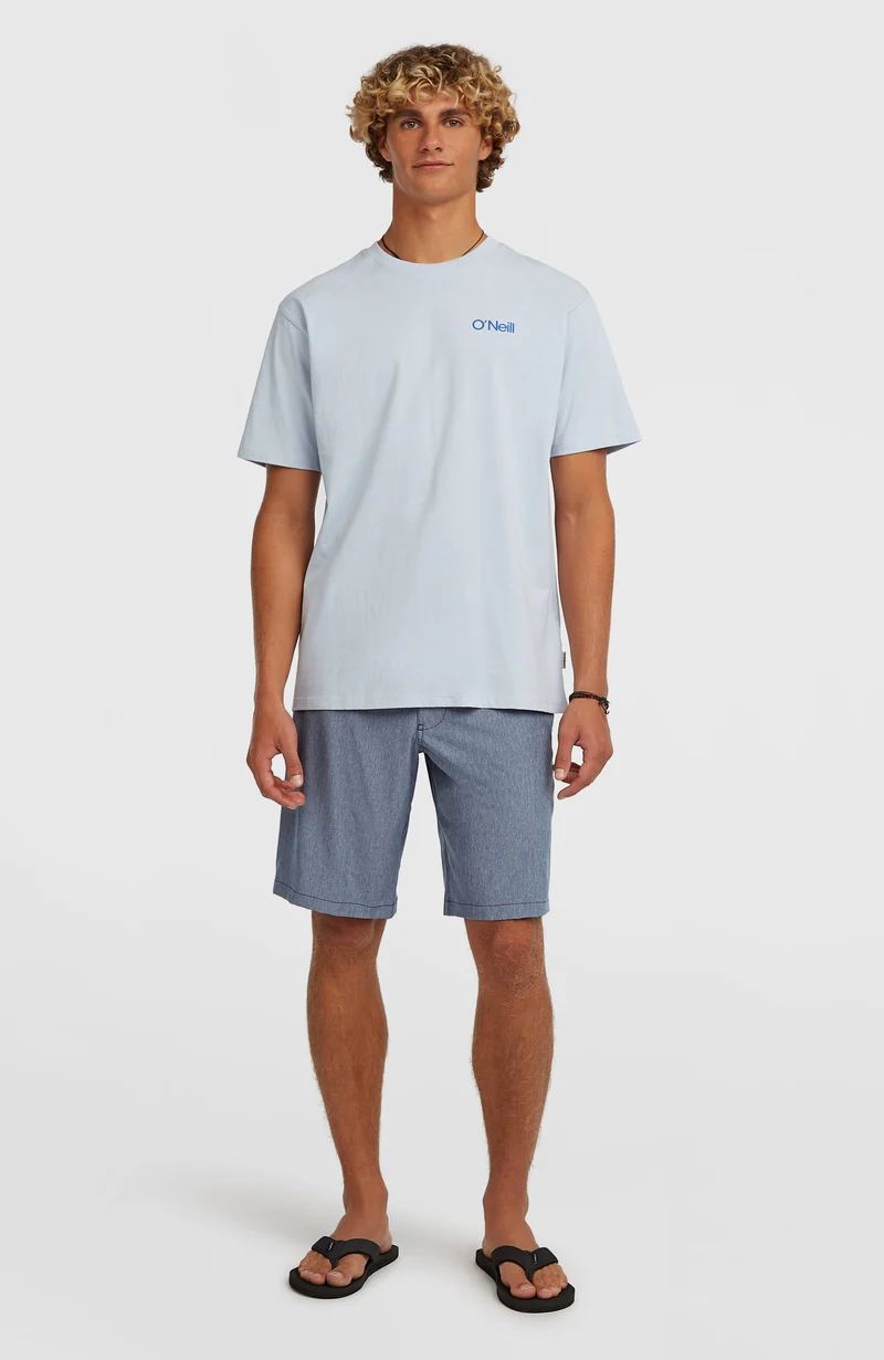 Hybrid 19'' Melange short | English Evening