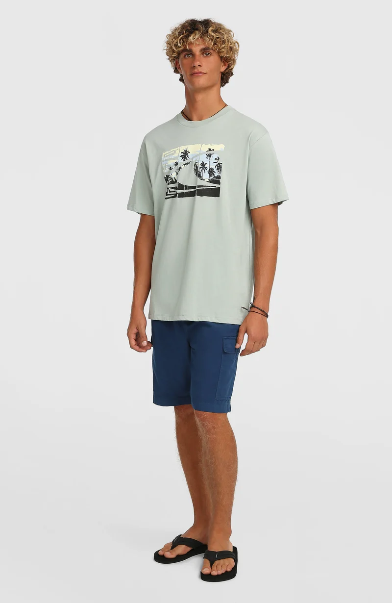 O'Neill Essentials Ripstop cargoshort | English Evening