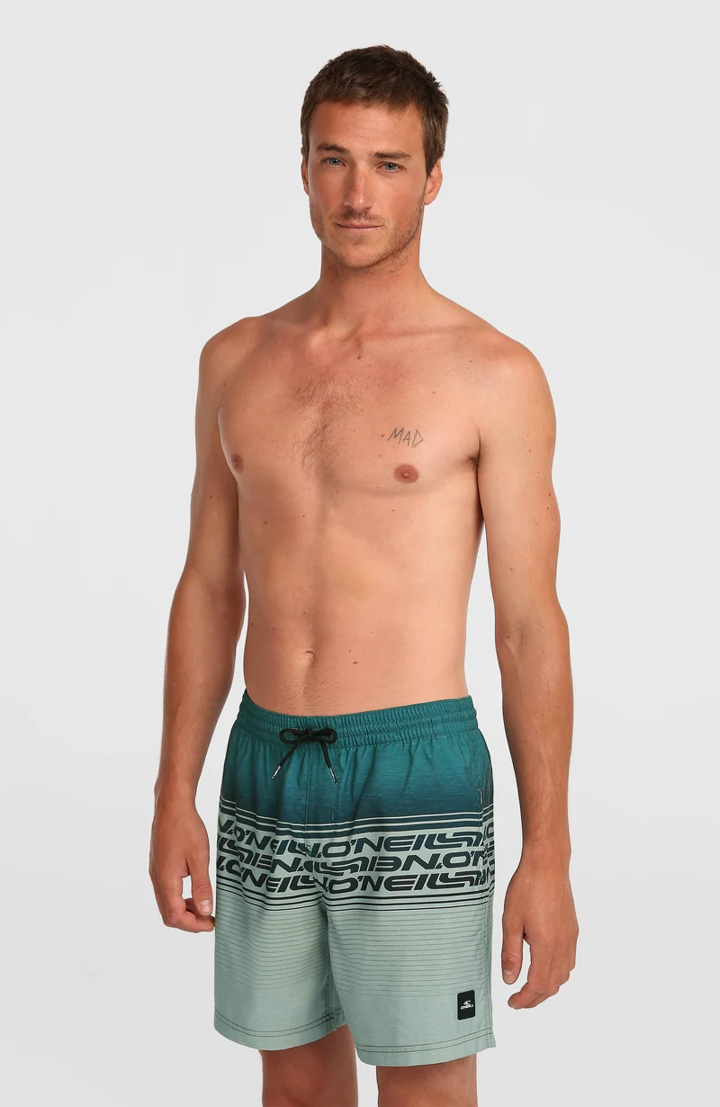 Logo Stripe 16'' zwembroek | Green Heritage Stripe