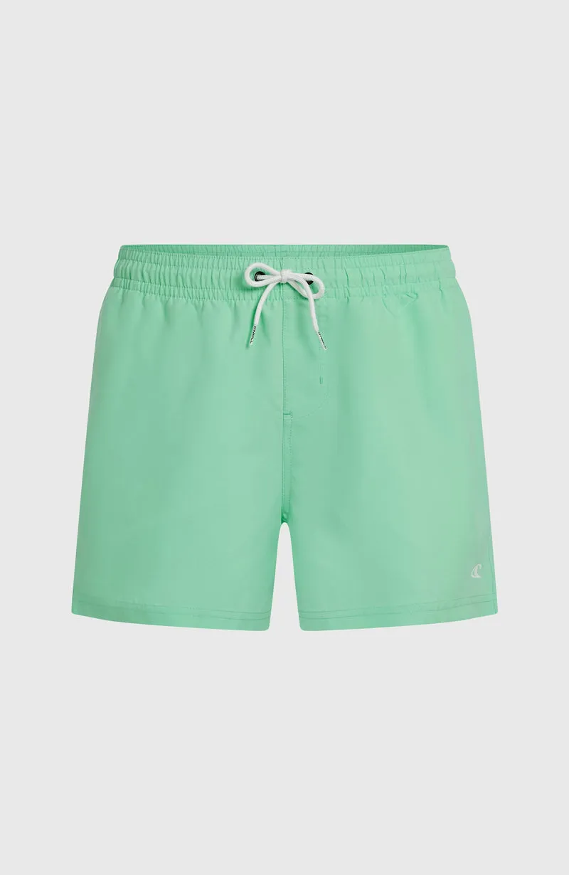 O'NEILL SUNNY BEACH 14" SWIMSHORT | Antiguan Sky