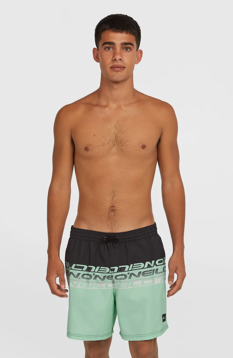 Cali Stripe 16'' zwembroek | Green/Black Upside Down Clean