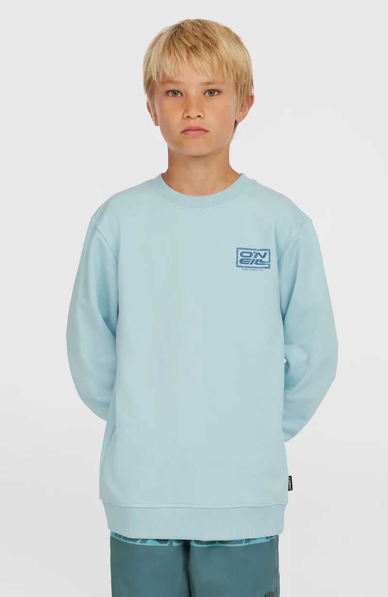 Logo Crew sweater | Morning Glory