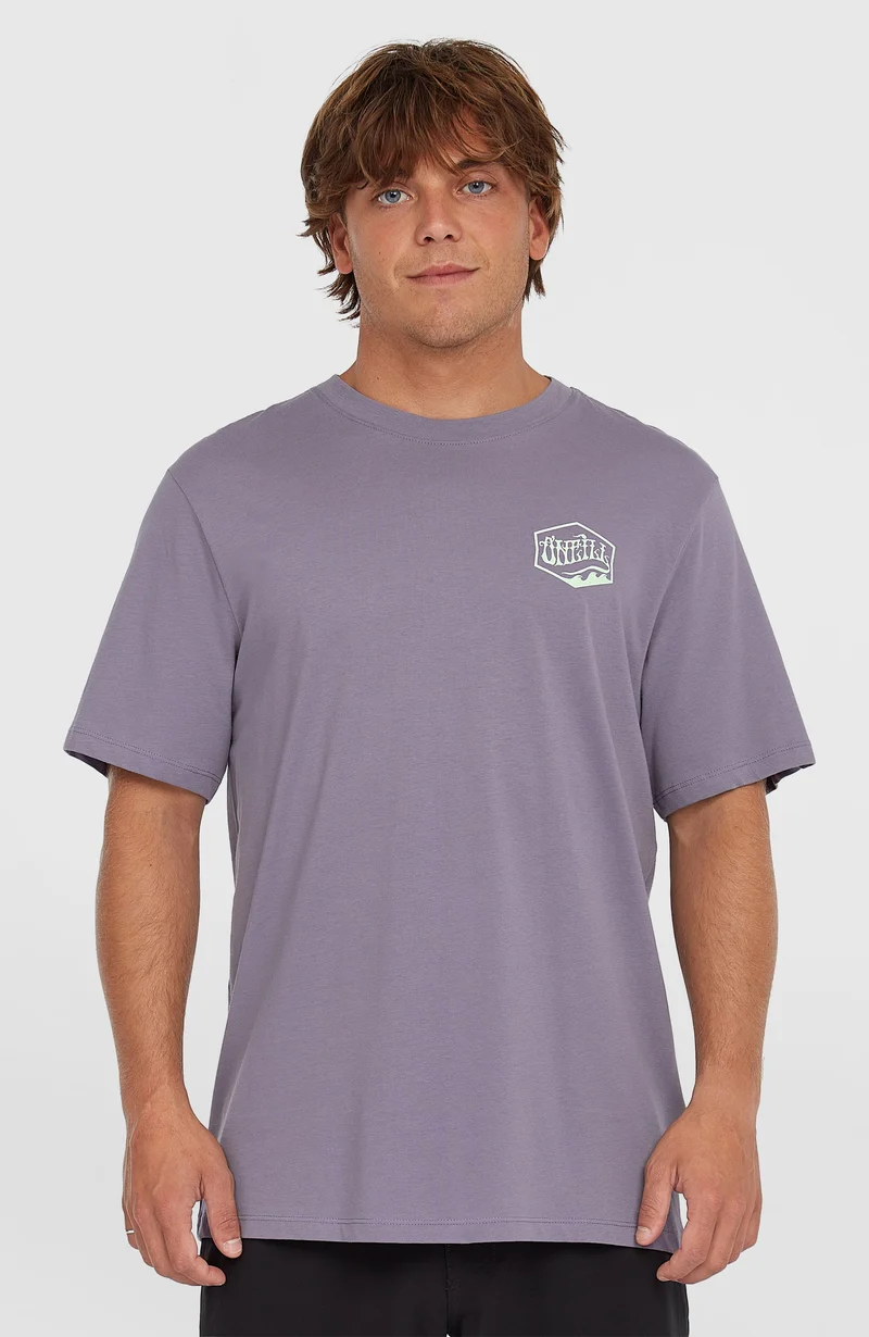 Box Logo T-shirt | Storm