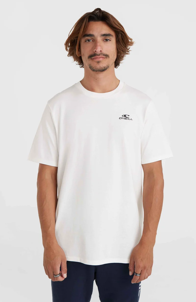 O'Neill Small Logo T-shirt | Snow White