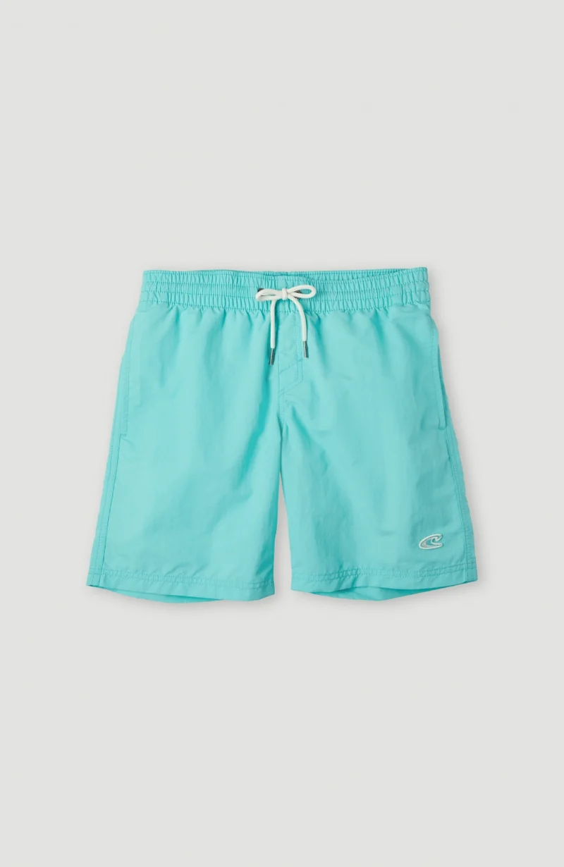 Vert Swim Short | Aqua Spalsh