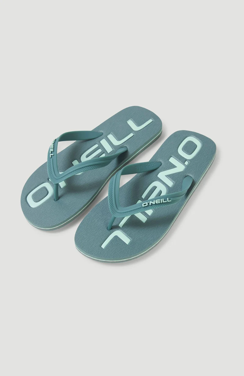 Slippers Profile Logo | North Atlantic