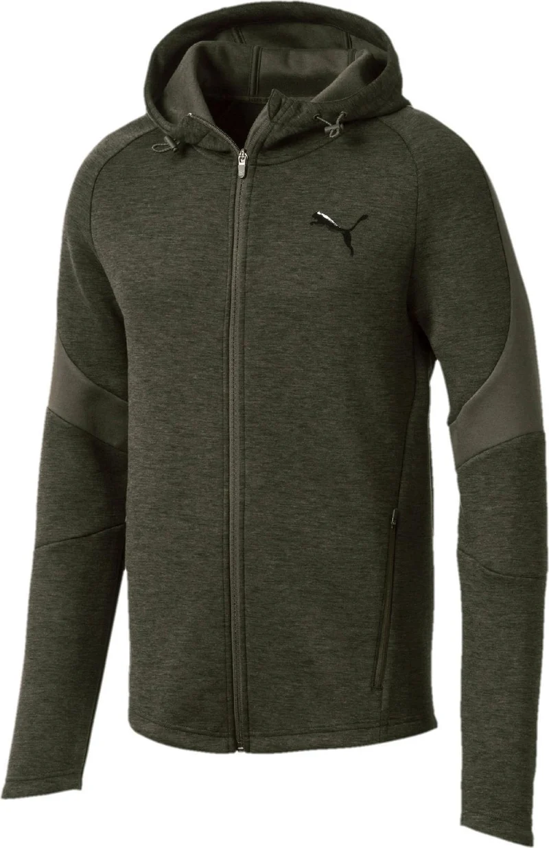 evostripe fz hoody