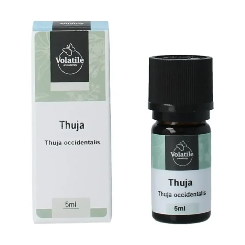 Volatile Thuja