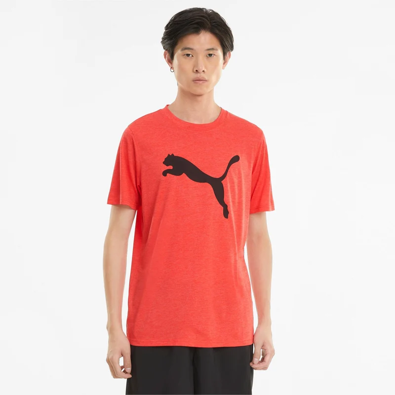 Train Fav Heather Cat Ss Tee